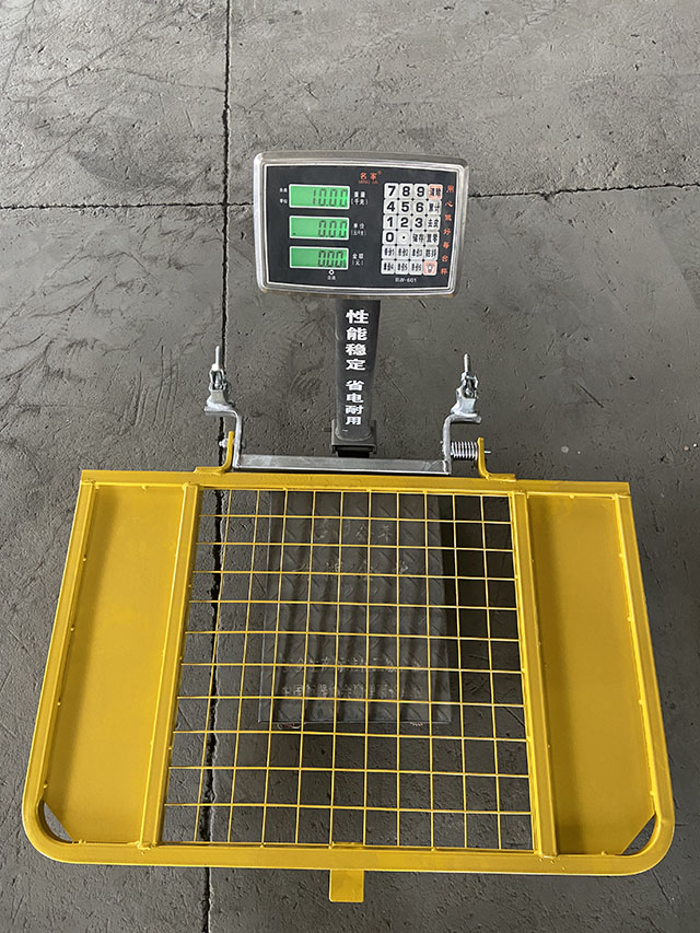 Scaffolding Safety Gate Gate d'