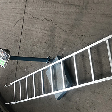 Échafaudage Straight Steel Monkey Ladder Galvanisé