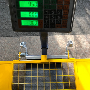 BS1139 Porte de sécurité d'échafaudage peinte pour la construction