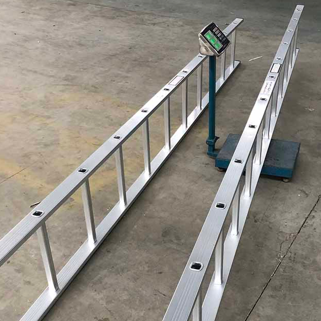 W390 Échelle verticale en aluminium d'échafaudage