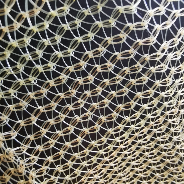 Net de sécurité de l'échafaudage de construction pour le maillage de la construction