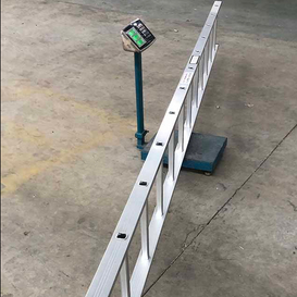 W390 Échafaudage en aluminium Échelle verticale